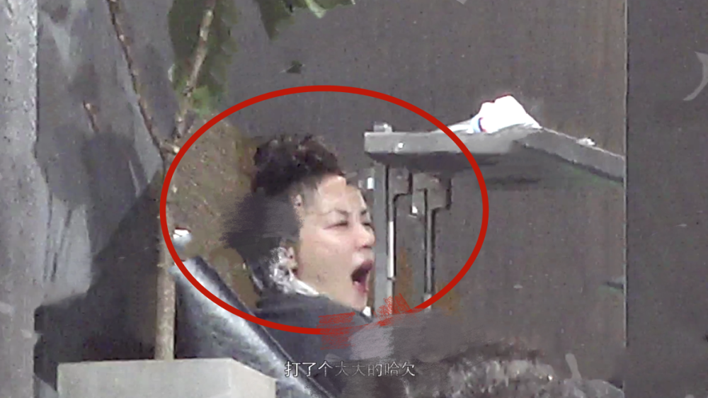 王菲|王菲深夜带李嫣外出美发，扎小揪揪呆萌可爱，罕有出现大笑场面