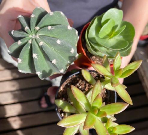 孙燕姿|自己动手剪发，天后孙燕姿怎么活得这么“惨”？