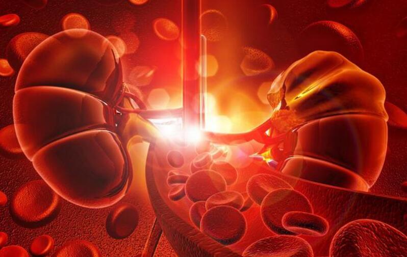 肾内科|你以为这些都是“小毛病”，肾内科医生提醒：小心是肾衰竭