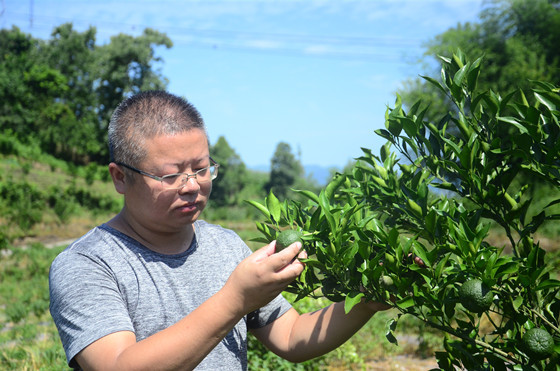 梁平区袁驿镇集体产业正兴旺小康路上有奔头