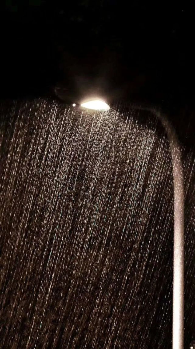 多图直击青岛暴暴暴暴雨有多暴网友大半夜的我家小区大门被冲跑了