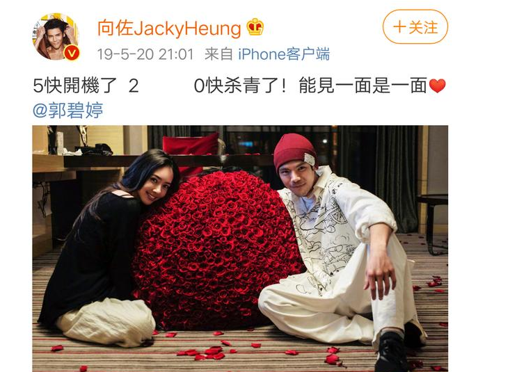 郭碧婷|向佐娶郭碧婷，与其说是真爱，不如说是为了所谓的“孝顺”