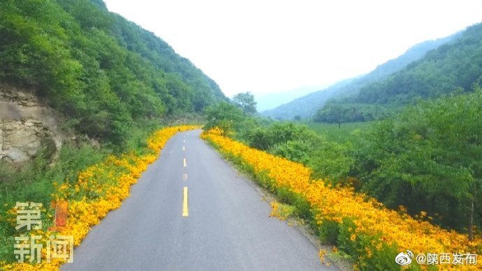 延安黄龙公路成为独特景观