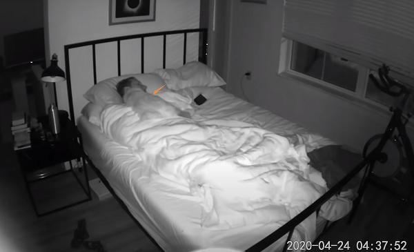 猫咪|猫咪对男子露出獠牙，以为要动手了，随后感叹道：原来是个误会