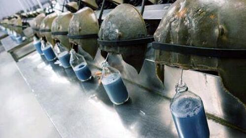 物种|它来自4亿年前，为人类作出了巨大贡献，如今却成了濒危物种