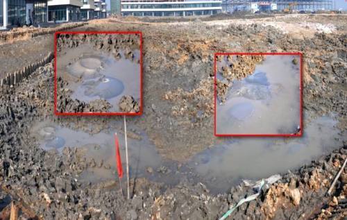 武汉|武汉采购360吨黄豆来抗洪，抗灾为啥要用黄豆？