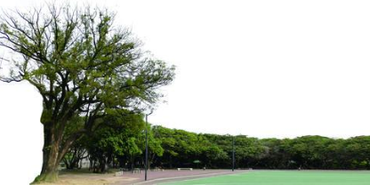 大亚湾西区街道樟浦村奉公好义家风扬奋发图强精神振 腾讯新闻