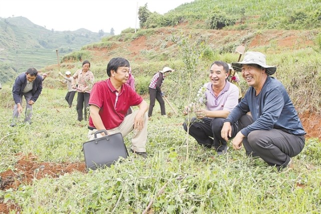 2018年3月,市委组织部从曲靖经开区市场监管局选派邹虎到会泽县大井镇