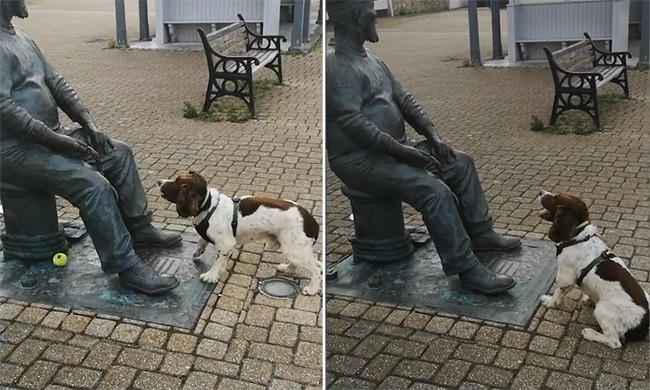 黛比·泰勒|英国小狗误把雕塑当真人 试图与其玩接球游戏