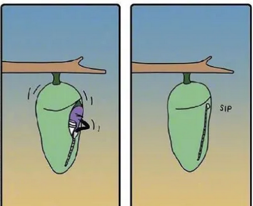 爆笑漫画毛毛虫破茧而出变成蝴蝶夜间又回到茧里原来这只是睡袋