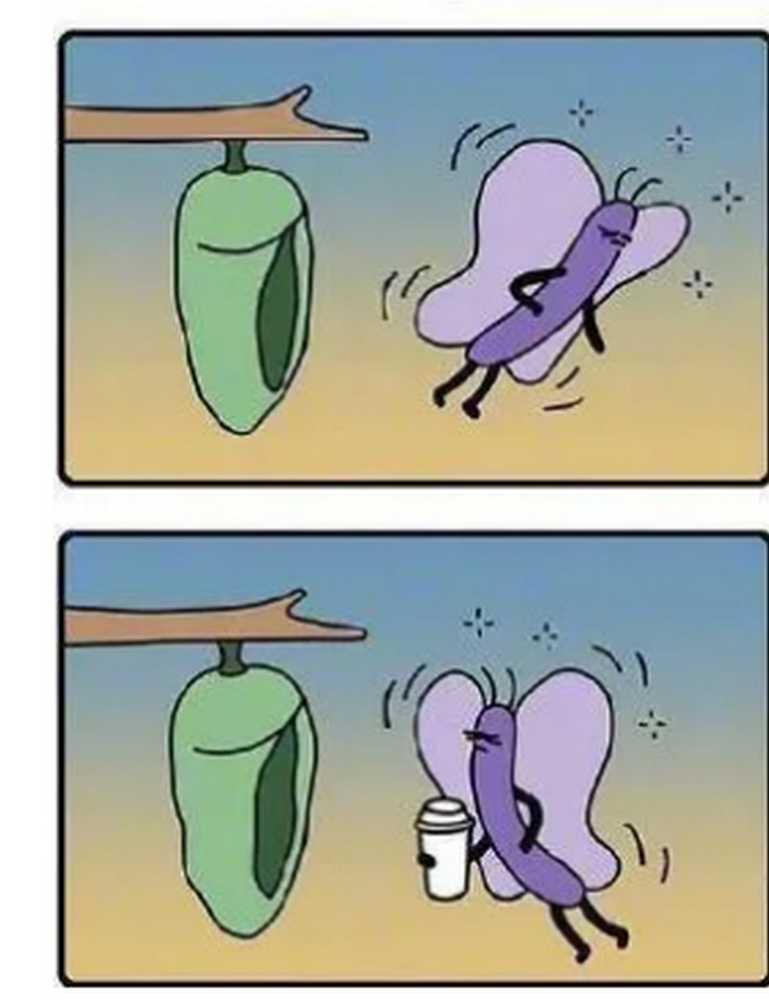 爆笑漫画毛毛虫破茧而出变成蝴蝶夜间又回到茧里原来这只是睡袋