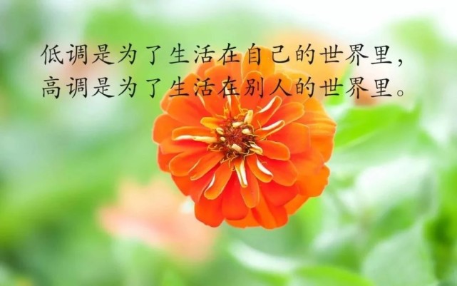 早安发朋友圈名言名句 朋友圈