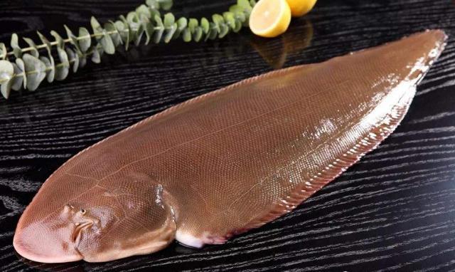 龙利鱼鲜嫩无刺老少皆爱吃水产商贩我从不敢给家人吃