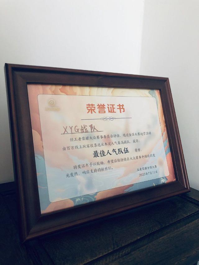 XYG战队获得最佳人气奖，网友不服：又靠张大仙