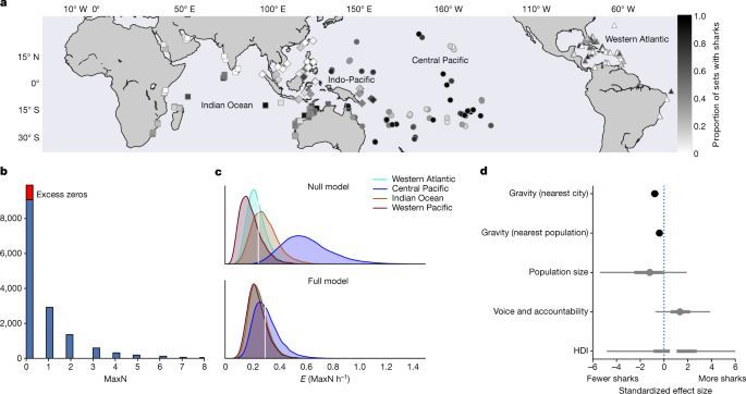 珊瑚|研究发现：全球20％珊瑚礁中的鲨鱼已经功能性灭绝