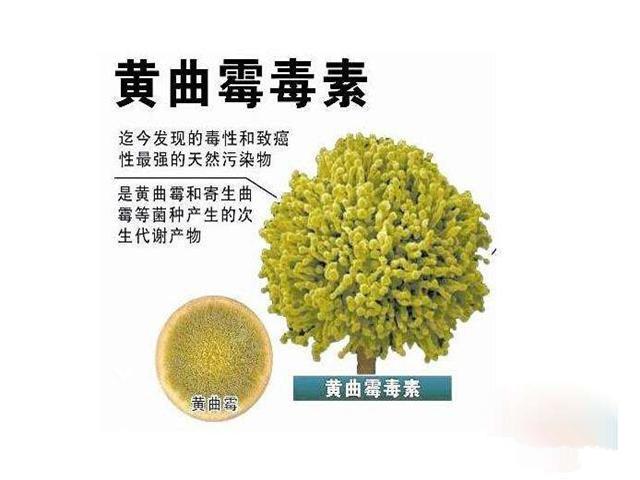 肝病|肝病医生提醒：6种伤肝食物找齐了，不想肝病“缠身”，最好别碰