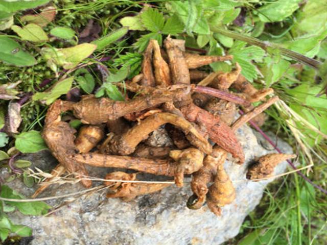 肝病|肝病医生提醒：6种伤肝食物找齐了，不想肝病“缠身”，最好别碰