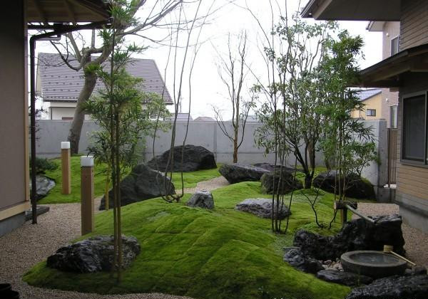 野蔓生 i 日式庭院,禅意中的静谧感受