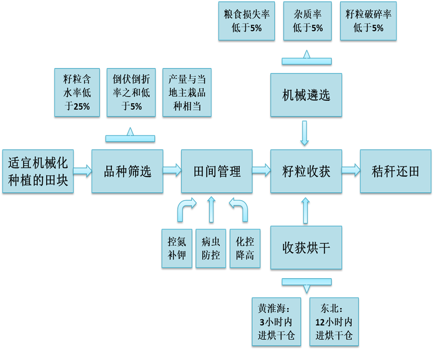 为进一步强化秸秆资源在农业生产领域的循环利用提供了可行方案