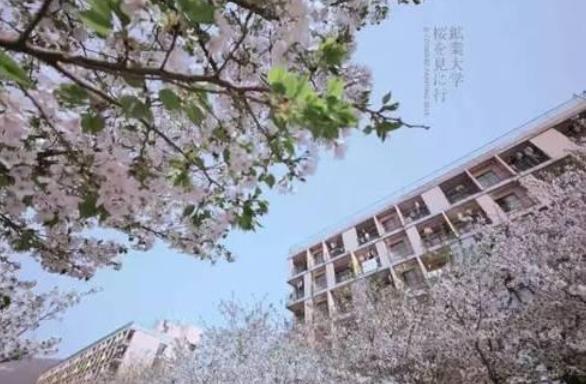 211大学|“最折腾”的211大学，建校111年颠沛流离，扎根三线城市终于崛起