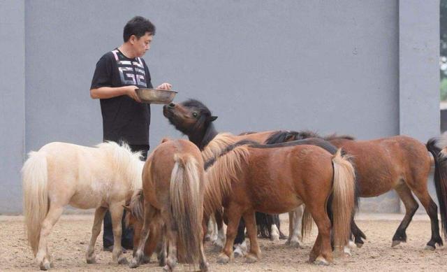 于谦|于谦在餐厅抽烟被骂不道德，于谦霸气回应才知道什么叫贫富差距