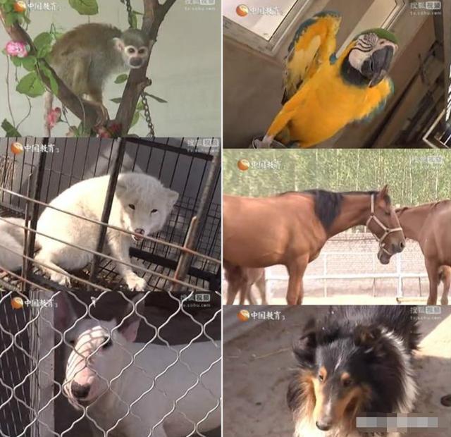 于谦|于谦在餐厅抽烟被骂不道德，于谦霸气回应才知道什么叫贫富差距