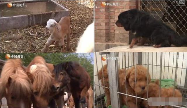 于谦|于谦在餐厅抽烟被骂不道德，于谦霸气回应才知道什么叫贫富差距