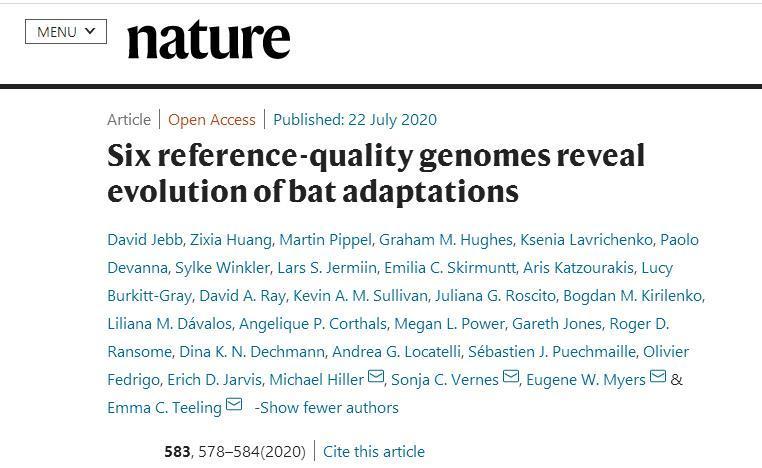 新冠|蝙蝠如何扛住新冠等“多重夹击”？科学家破译了它的基因