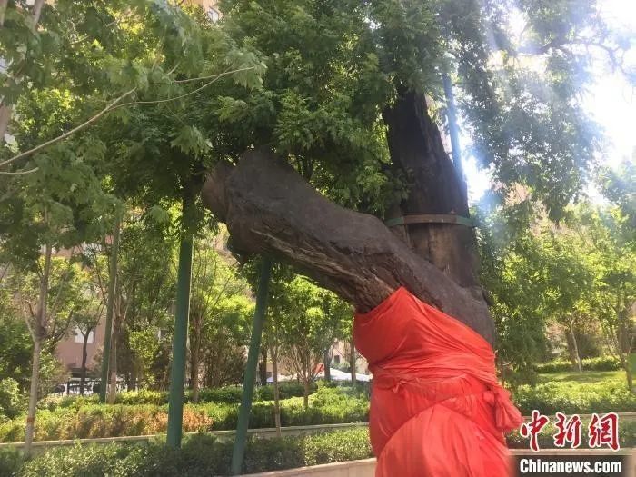 山西|南宫后，山西再现“潘家园”