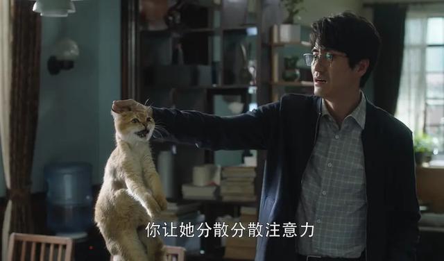 三十而已|中年人的婚姻最忌讳“都想避风，无人当港”