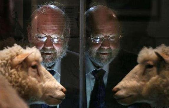 教科书上没有写人类1996年克隆的小羊多利后来怎么样了