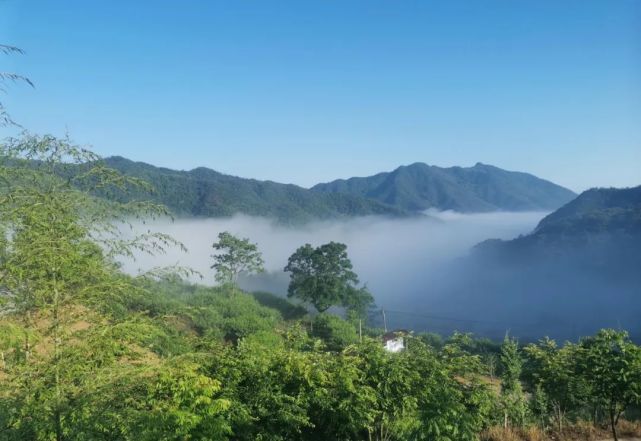 以地方集群式民宿向外推廣,增強坪上村民宿的引流能力