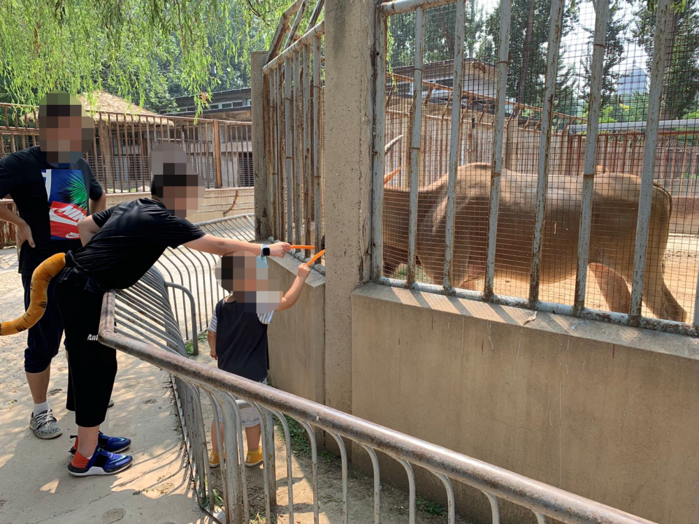 北京市文明行为促进条例|还得继续改！记者多路探访发现这些不文明行为