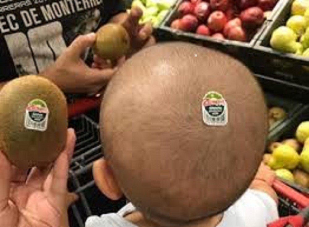 猕猴桃|通过遗传基因突变，美国推出巨型猕猴桃，比普通猕猴桃大50％，你期待么？