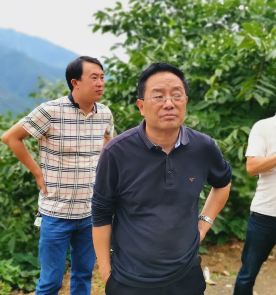 防汛减灾邓天友到树河镇督导防汛防地灾工作