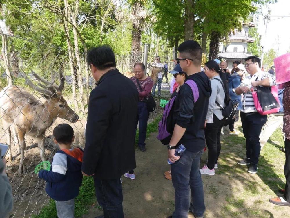 黃海溼地自然研學夏令營,知青農場影視體驗夏令營;恆北·原鄉星星樂園