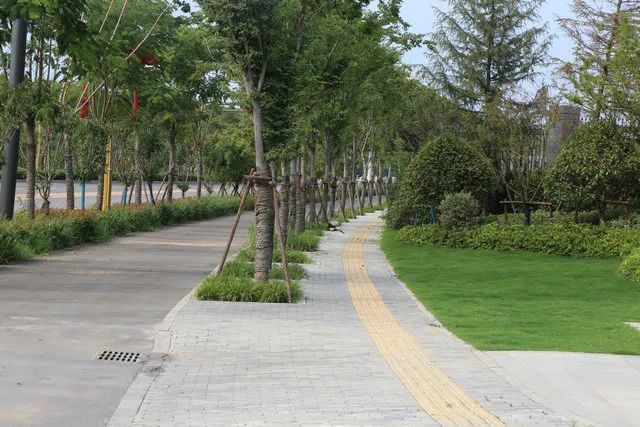 滕州高铁新区"海绵城市"建设,各条道路无一处积水现象