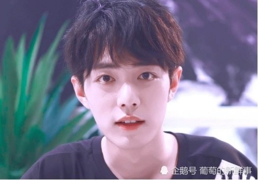 中国最美偶像100人|肖战登顶最美偶像榜首，多事之秋的强心剂，肖战无声却强力的反击