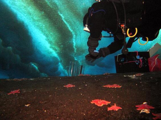 甲烷|南极洲传来一个不好的消息，科学家首次发现主动泄漏的海底甲烷