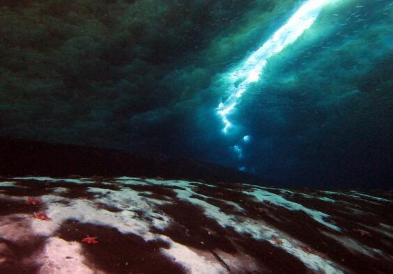 甲烷|南极洲传来一个不好的消息，科学家首次发现主动泄漏的海底甲烷