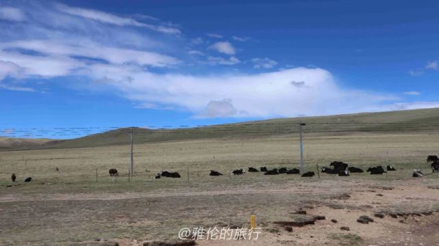 西藏羌塘無人區平均海拔5000米以上的生命禁區年均氣溫0以下