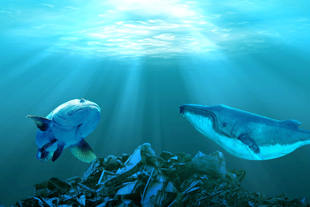 海洋垃圾中百分之八十是塑料垃圾塑料垃圾污染,剩下的只有少数金属与