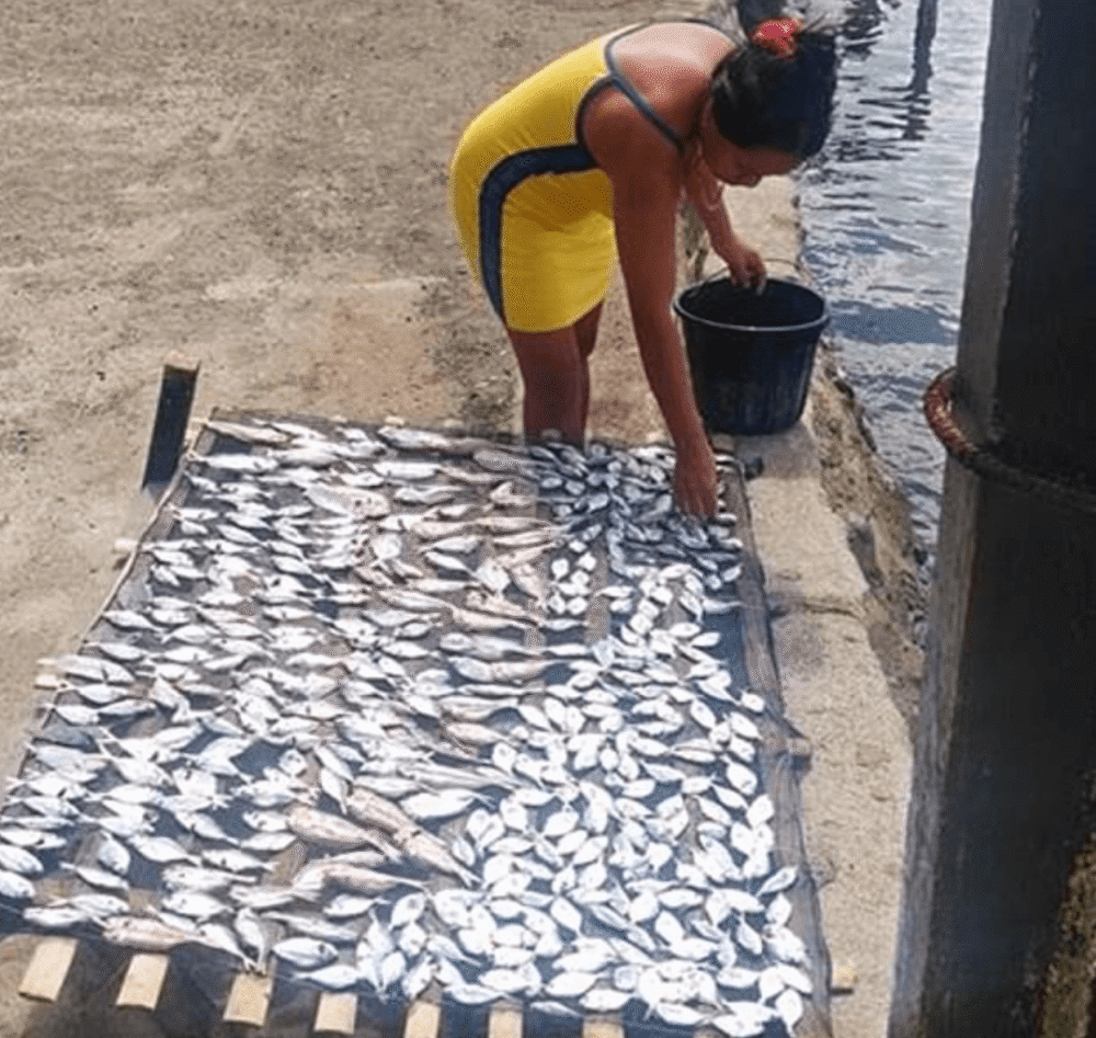 菲律宾_社会|澳洲夫妻到菲律宾旅游弹尽粮绝，就地买艘船活成了“土著”