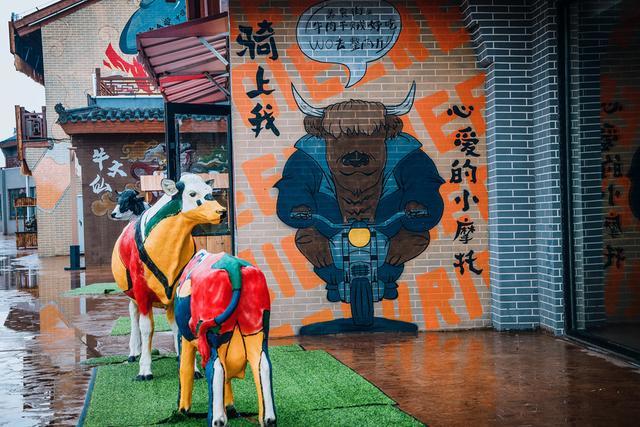 坝上草原|打卡北京周边最火避暑胜地，以马为梦，穿越千年，坝上草原竟然还可以这么玩