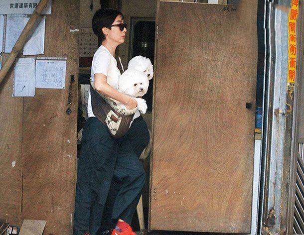 江美仪|48岁江美仪与吴君如弟弟离婚后不寂寞，有狗相伴，醉心行山状态佳