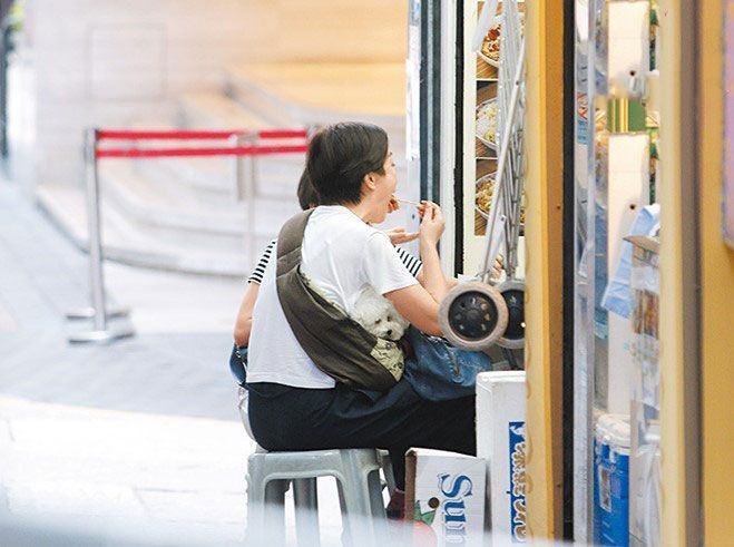 江美仪|48岁江美仪与吴君如弟弟离婚后不寂寞，有狗相伴，醉心行山状态佳