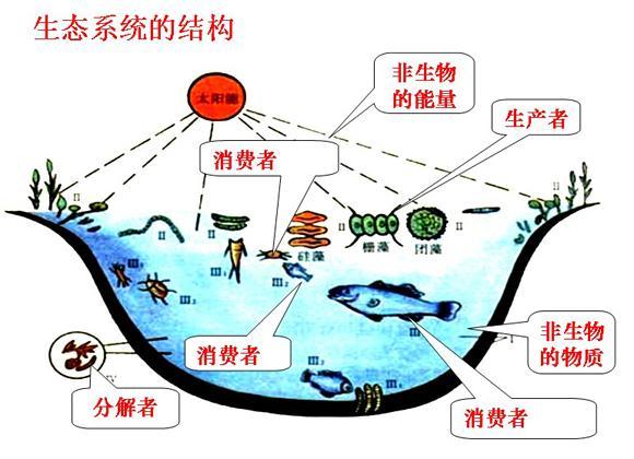 地外生命|地外生命探索的最大热门——欧罗巴