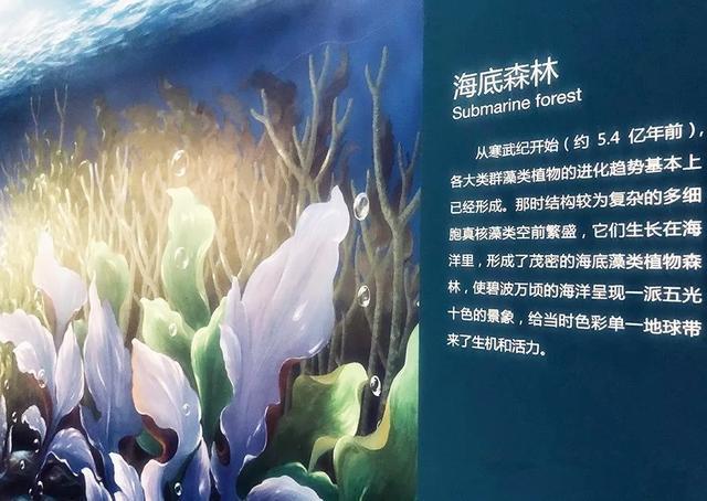 地外生命|地外生命探索的最大热门——欧罗巴