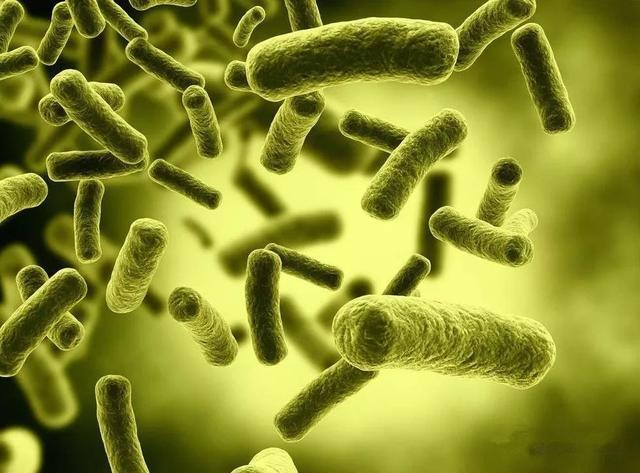 地外生命|地外生命探索的最大热门——欧罗巴