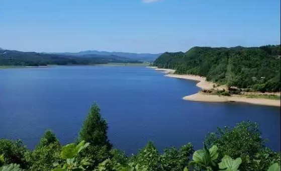 谷雨郊|不语秋疵春隐恙，谁来立雪伴梅花。作者/放鹤